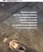 Пособие по работе с детьми, завербованными и эксплуатируемыми экстремистскими группами: Роль системы правосудия